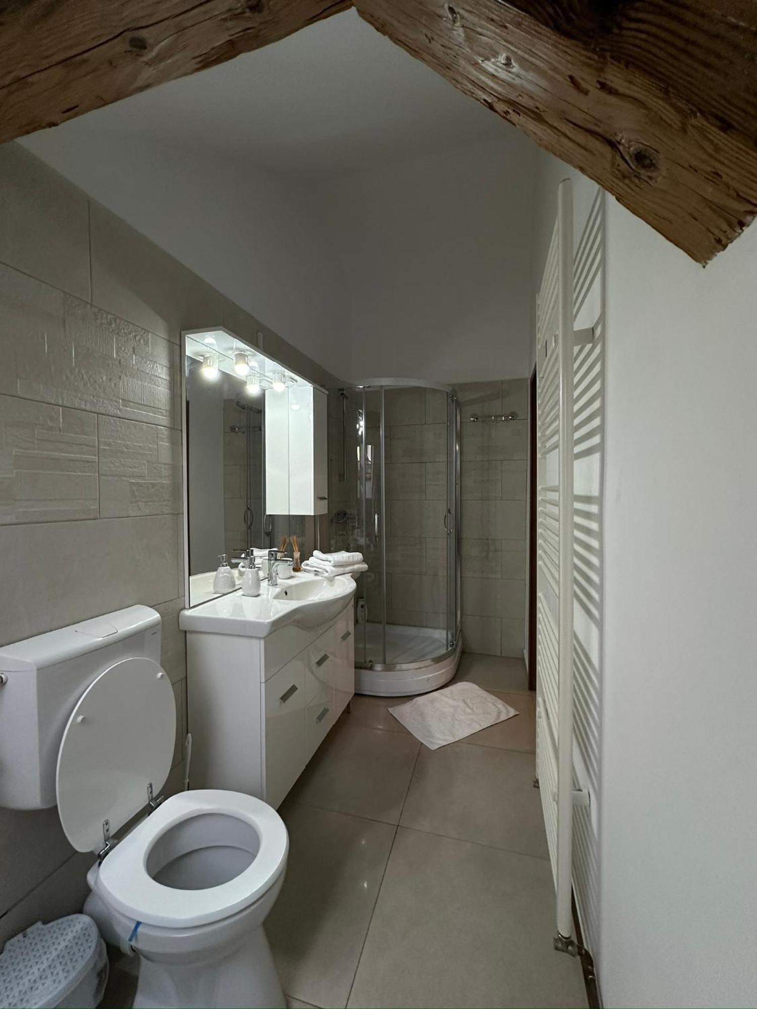 Antique Aparthotel Alba Iulia Dış mekan fotoğraf