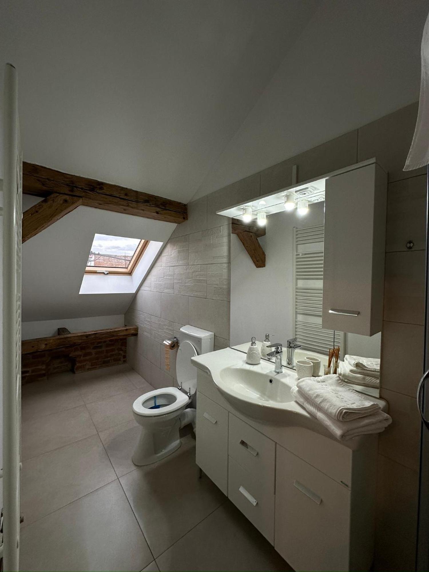 Antique Aparthotel Alba Iulia Dış mekan fotoğraf