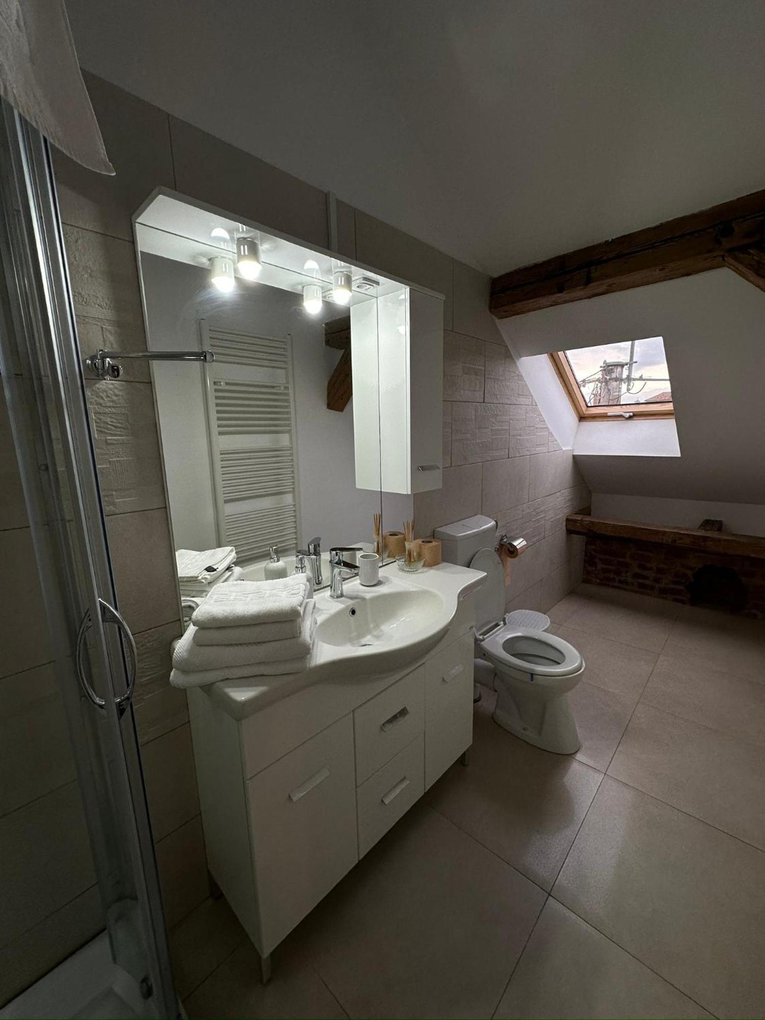 Antique Aparthotel Alba Iulia Dış mekan fotoğraf